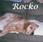 Rocko 